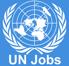 United Nations Office at Nairobi is hiring job