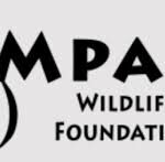 Feature image HR OFFICER job