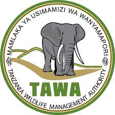 351 Positions at TAWA job