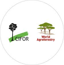 Research Assistant -Agroforestry scaling (CAM) job