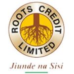 CREDIT OFFICER job