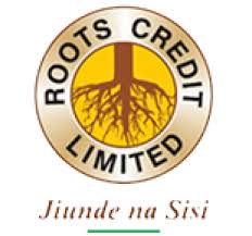 CREDIT OFFICER job