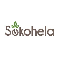 Credit Analyst job