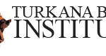 Feature image Chief Scientific Officer (CSO) job