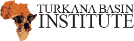 Chief Scientific Officer (CSO) job
