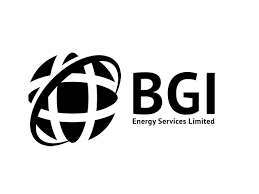 BGI Energy Services is hiring job