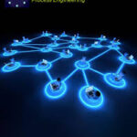 Feature image Internship Job Opportunities 2025 job